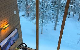 Villa Auroras Karhu